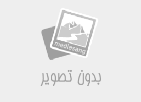 سنگ پیریت و اوبسیدین و فسیل |MediaSang - مدیا سنگ